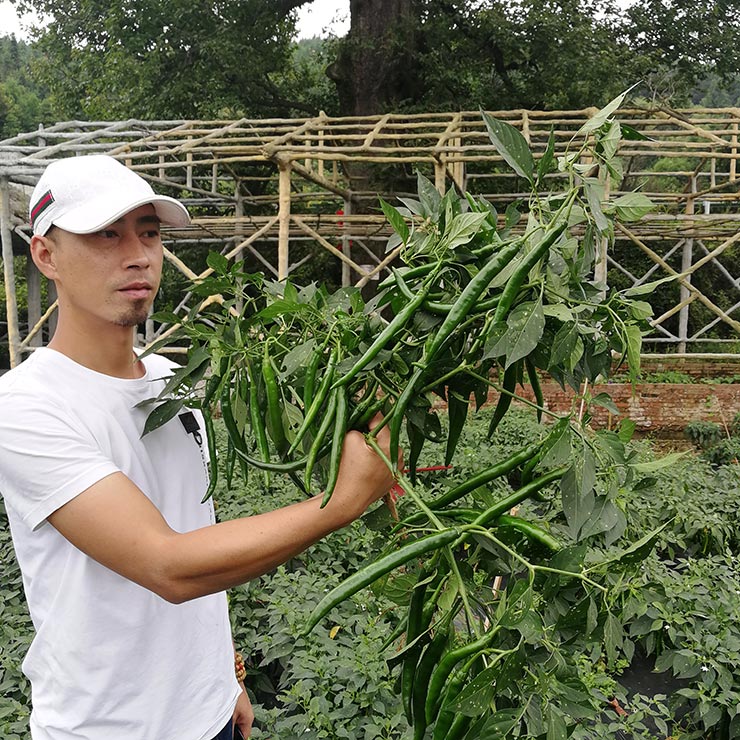 首页- 尊龙集团中国官网入口