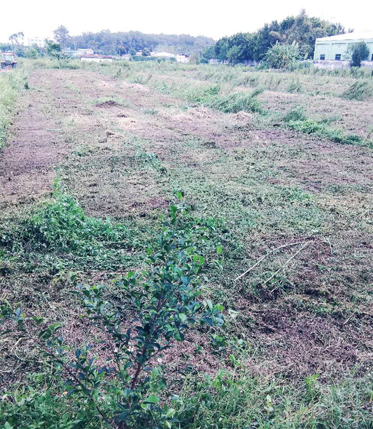 首页- 尊龙集团中国官网入口