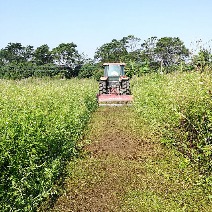 首页- 尊龙集团中国官网入口