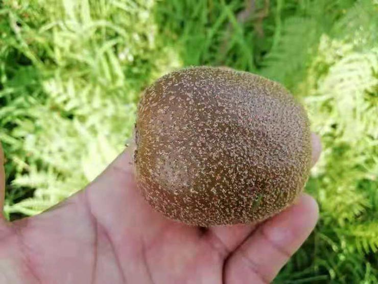 首页- 尊龙集团中国官网入口