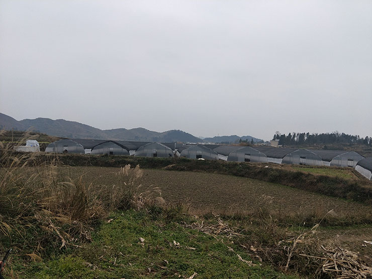 首页- 尊龙集团中国官网入口