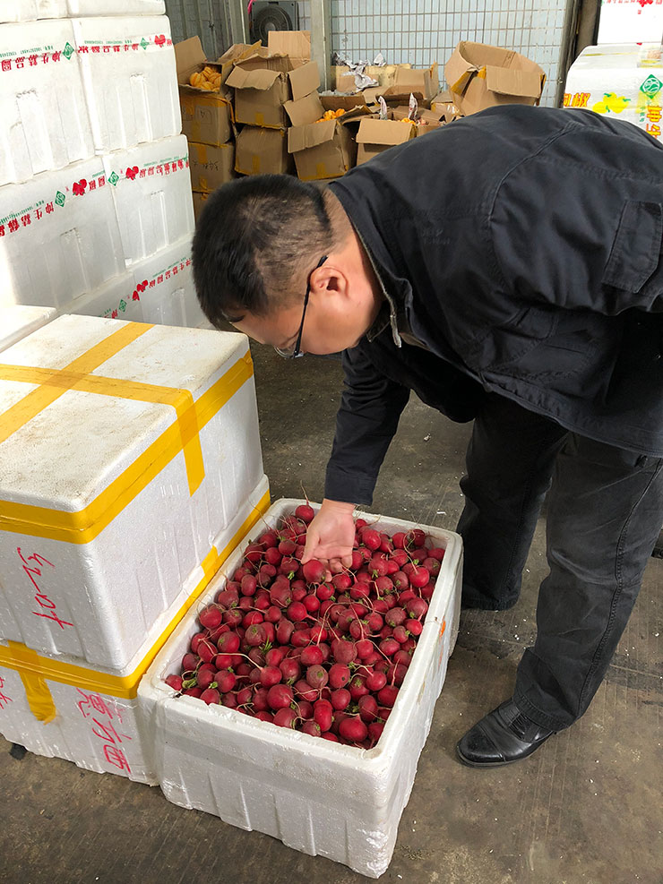 首页- 尊龙集团中国官网入口