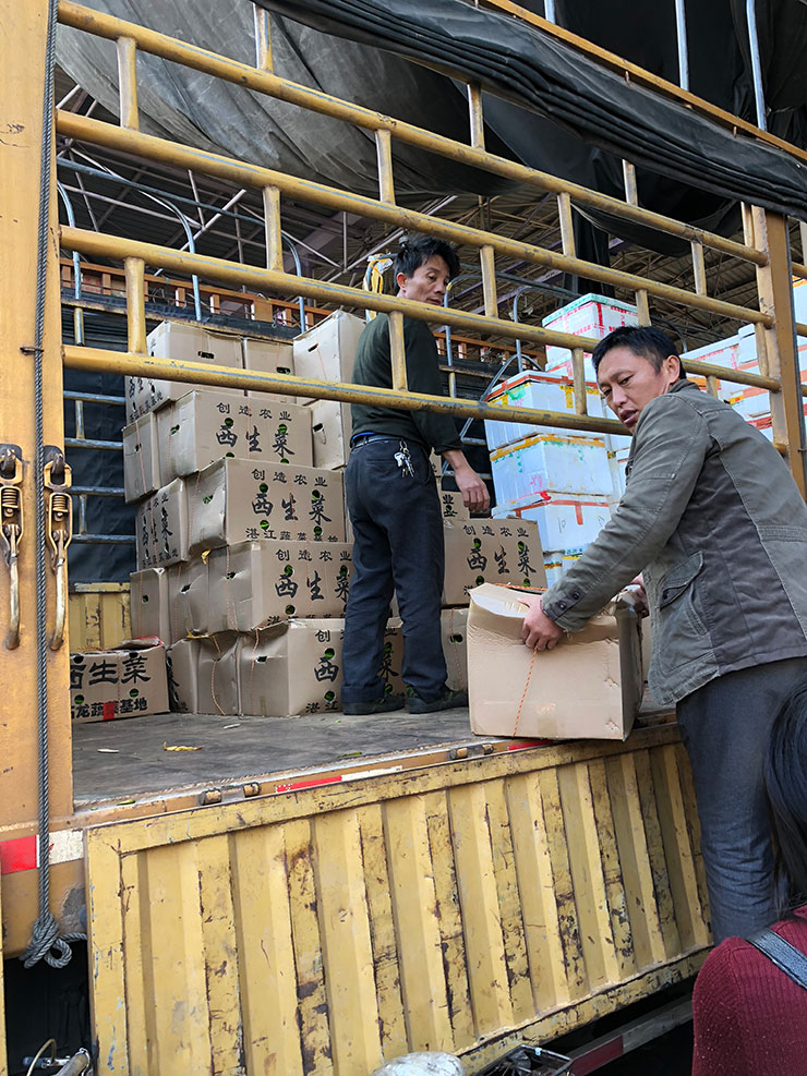 首页- 尊龙集团中国官网入口