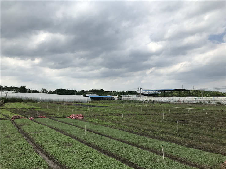 首页- 尊龙集团中国官网入口