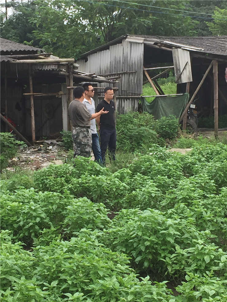 首页- 尊龙集团中国官网入口