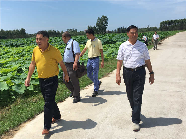 首页- 尊龙集团中国官网入口