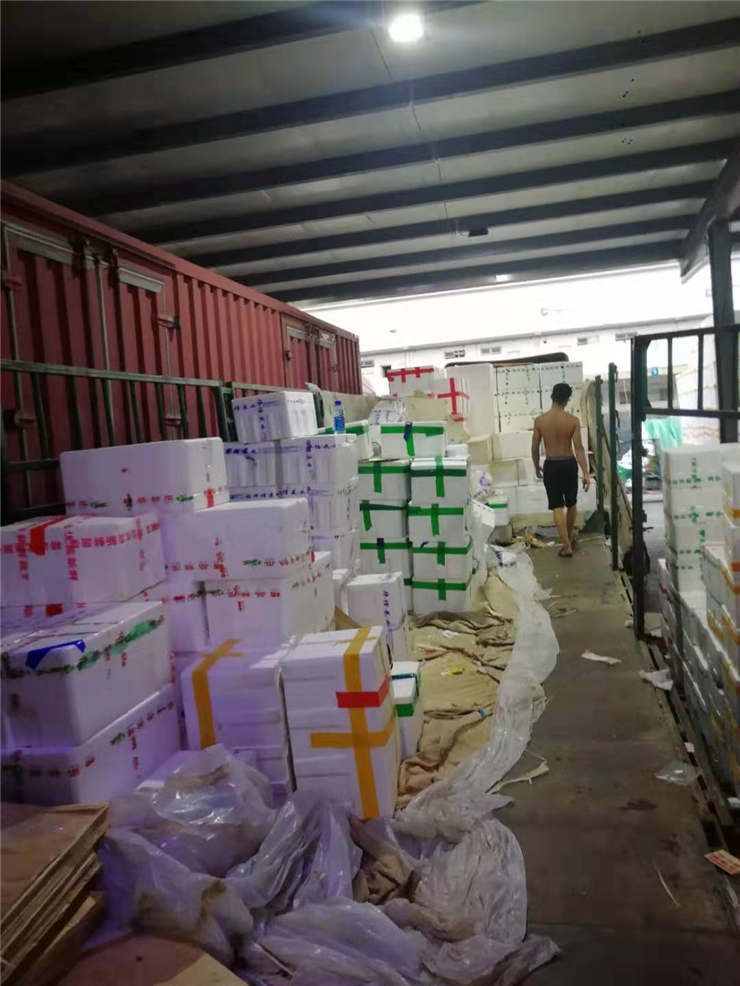 首页- 尊龙集团中国官网入口