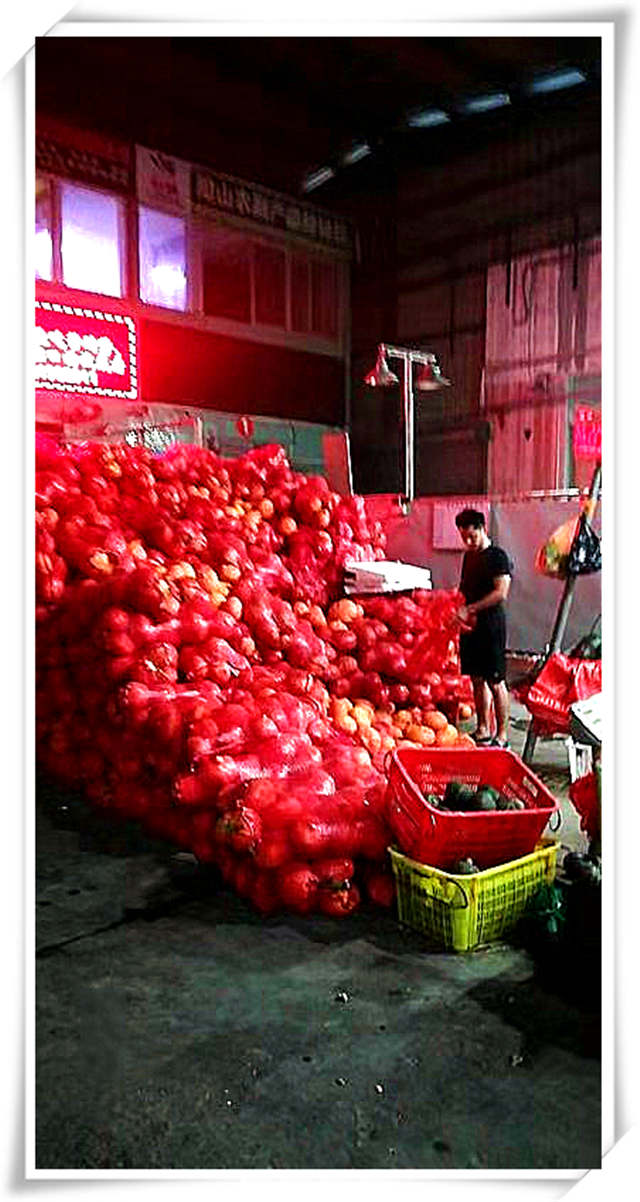 首页- 尊龙集团中国官网入口