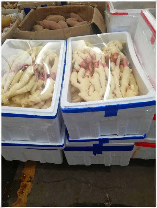 首页- 尊龙集团中国官网入口