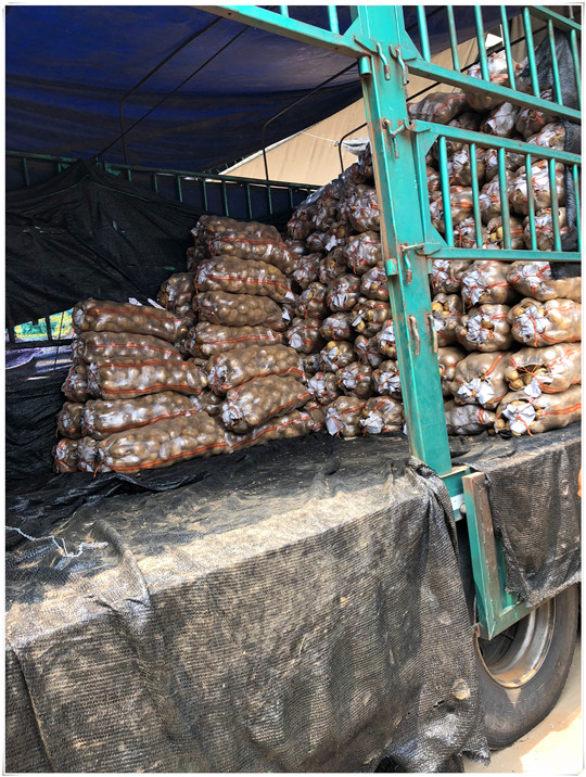 首页- 尊龙集团中国官网入口