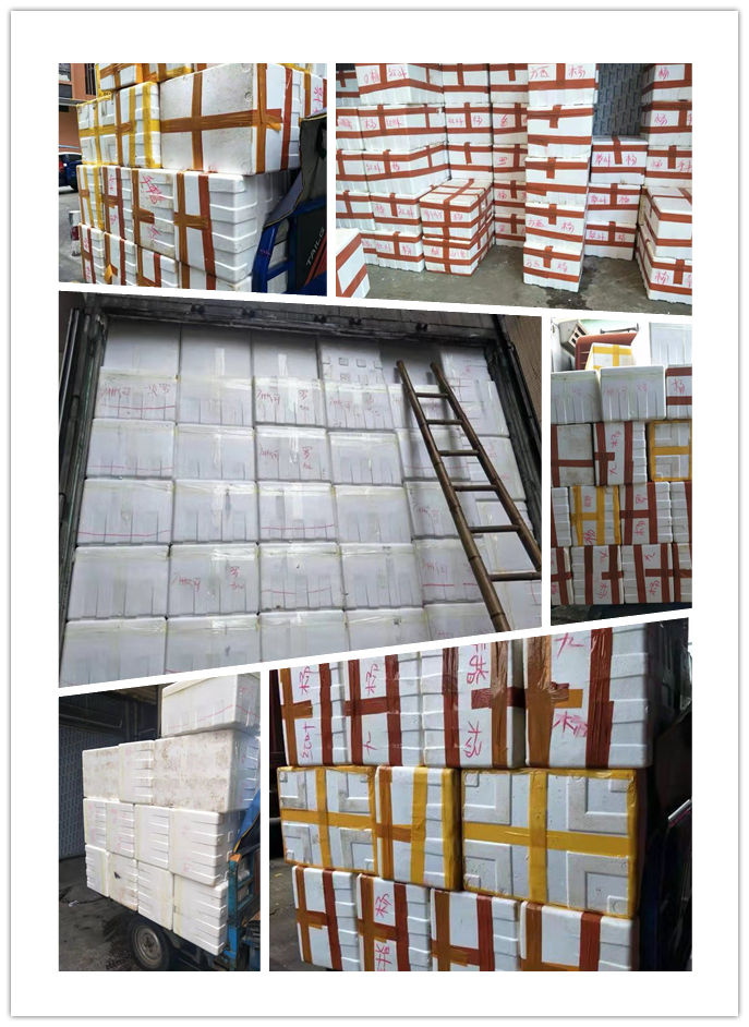 首页- 尊龙集团中国官网入口