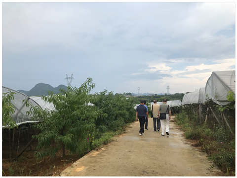 首页- 尊龙集团中国官网入口