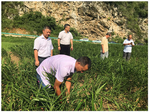 首页- 尊龙集团中国官网入口