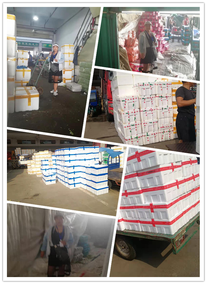 首页- 尊龙集团中国官网入口