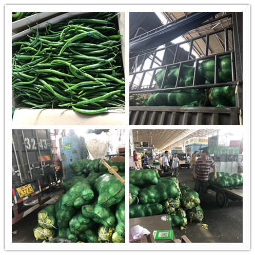 首页- 尊龙集团中国官网入口