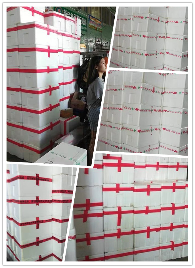 首页- 尊龙集团中国官网入口