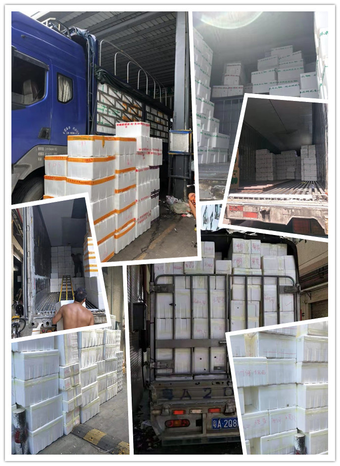 首页- 尊龙集团中国官网入口