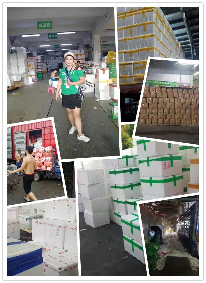 首页- 尊龙集团中国官网入口