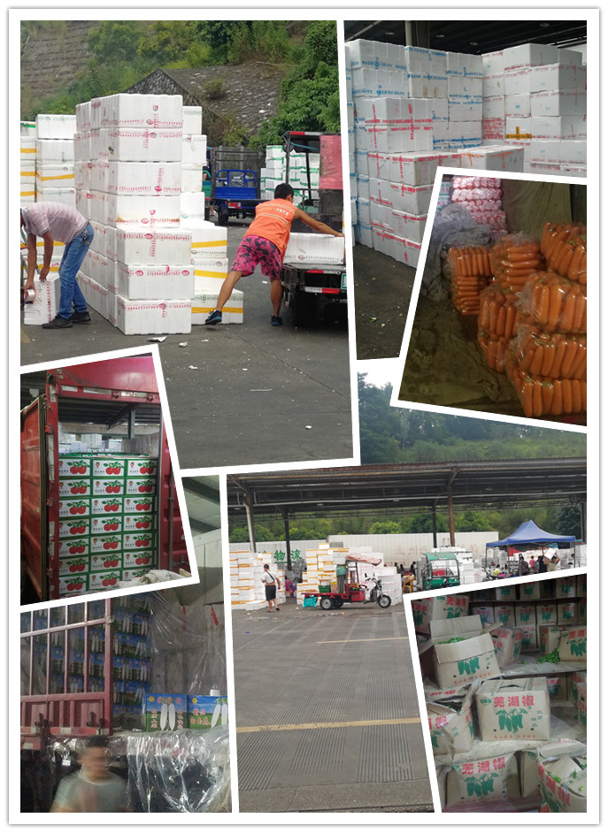 首页- 尊龙集团中国官网入口