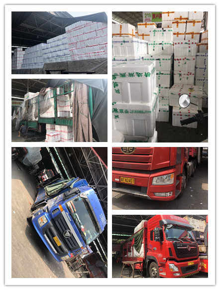 首页- 尊龙集团中国官网入口