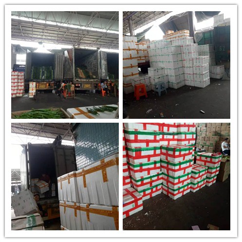 首页- 尊龙集团中国官网入口