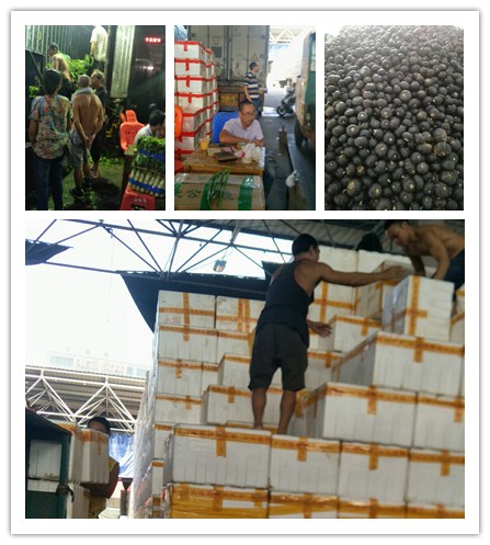 首页- 尊龙集团中国官网入口