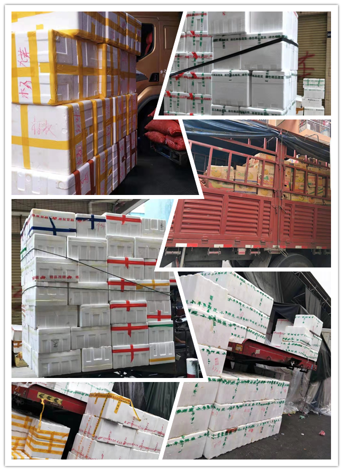 首页- 尊龙集团中国官网入口