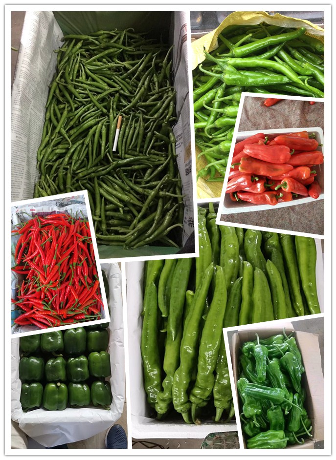 首页- 尊龙集团中国官网入口