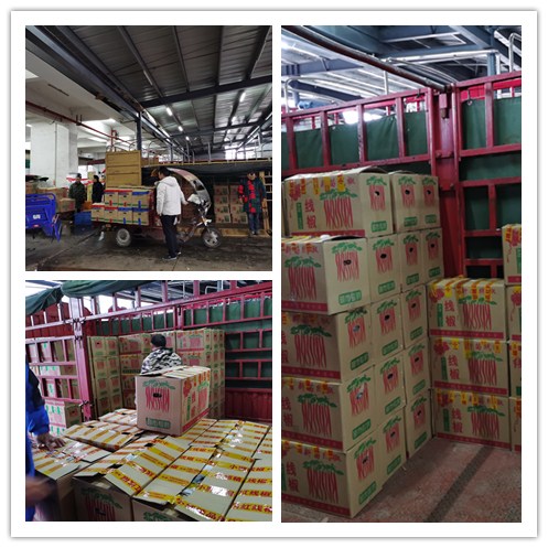 首页- 尊龙集团中国官网入口