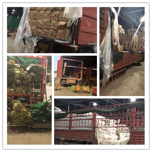 首页- 尊龙集团中国官网入口