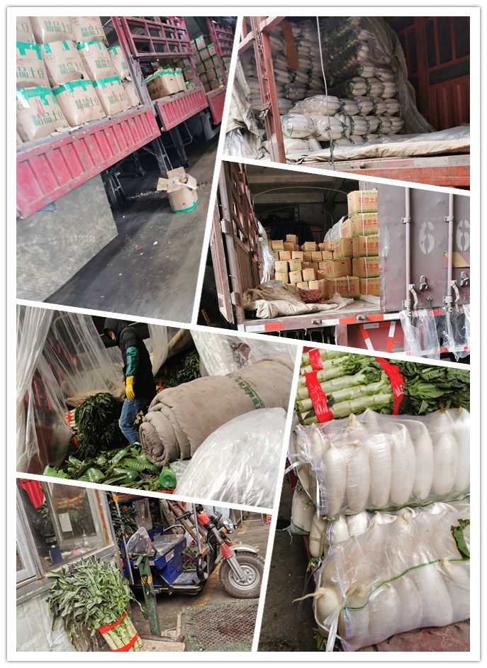 首页- 尊龙集团中国官网入口