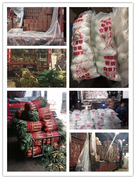 首页- 尊龙集团中国官网入口