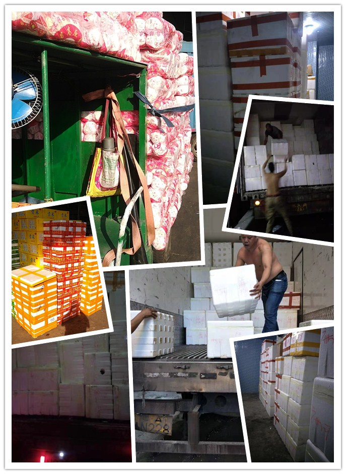 首页- 尊龙集团中国官网入口