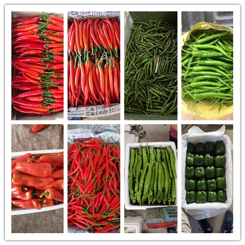 首页- 尊龙集团中国官网入口