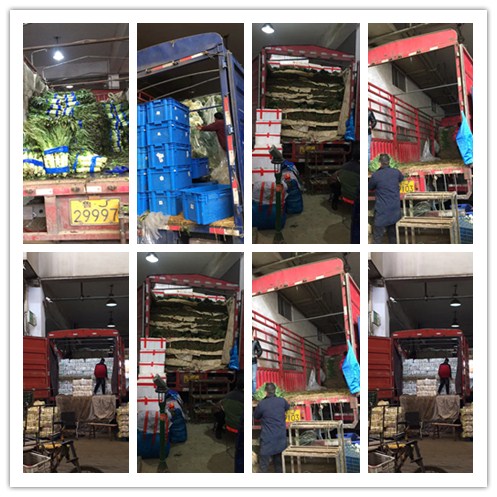 首页- 尊龙集团中国官网入口