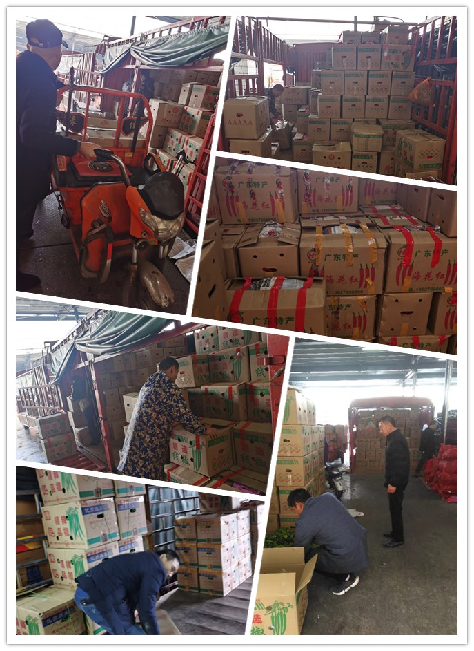 首页- 尊龙集团中国官网入口