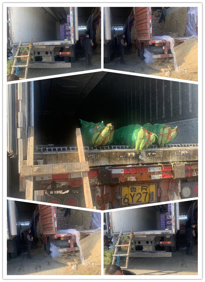 首页- 尊龙集团中国官网入口