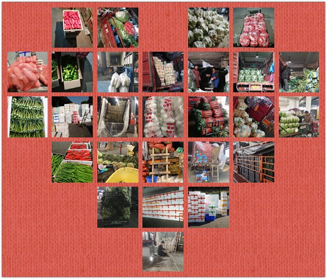 首页- 尊龙集团中国官网入口