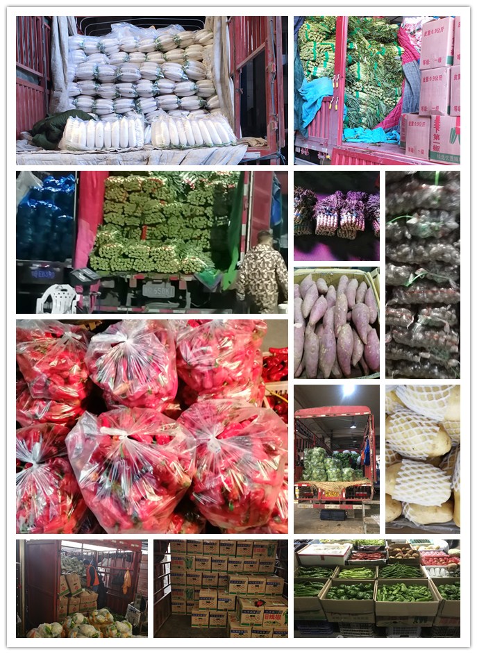 首页- 尊龙集团中国官网入口