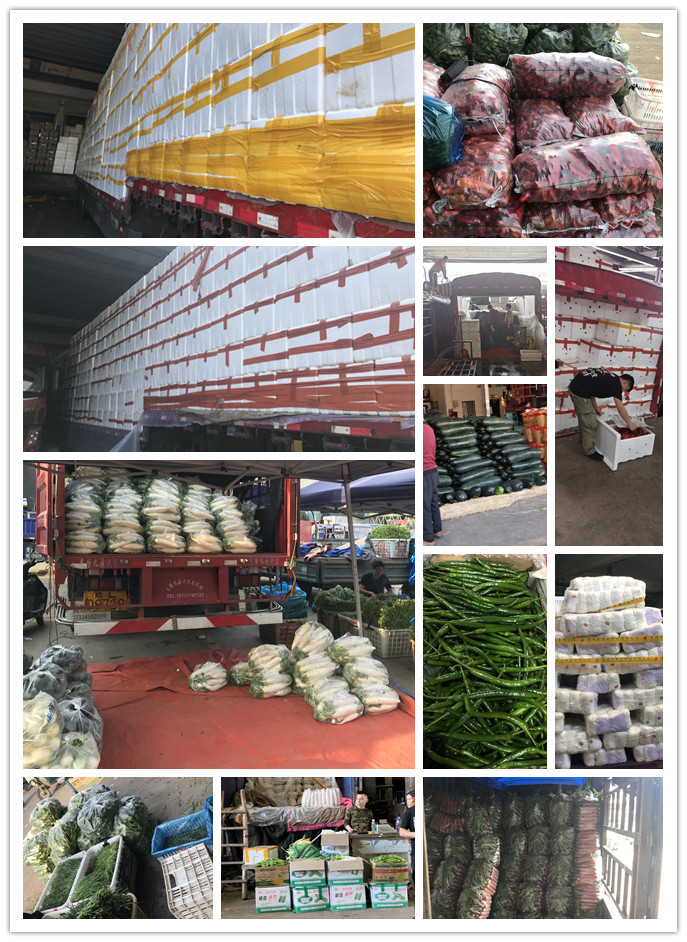 首页- 尊龙集团中国官网入口