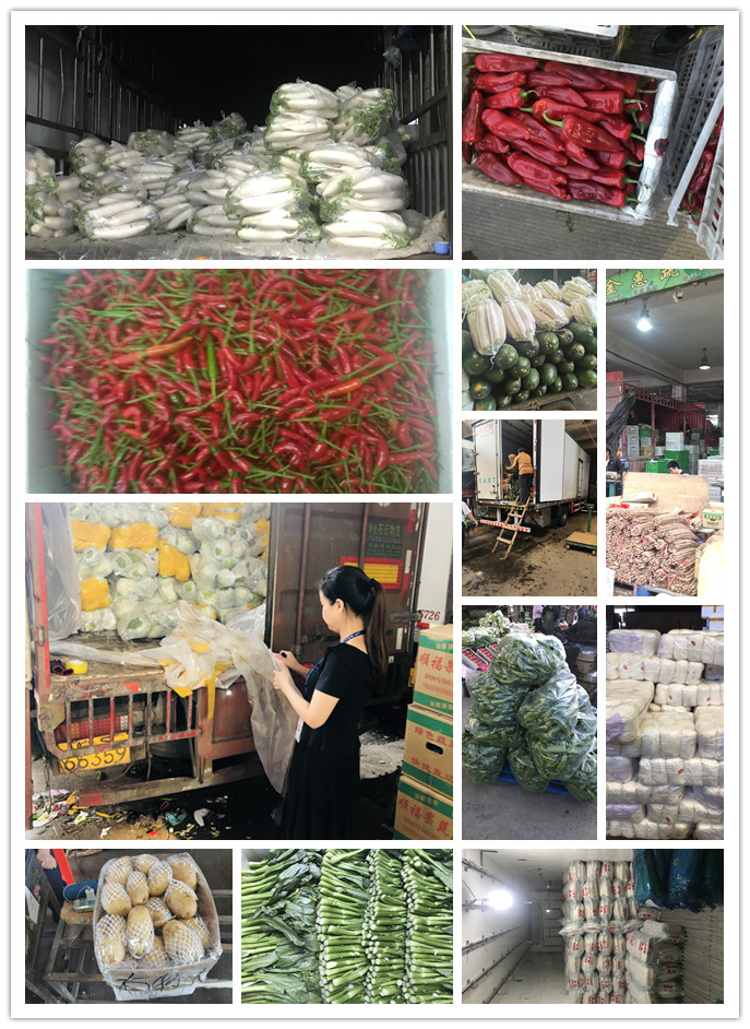 首页- 尊龙集团中国官网入口