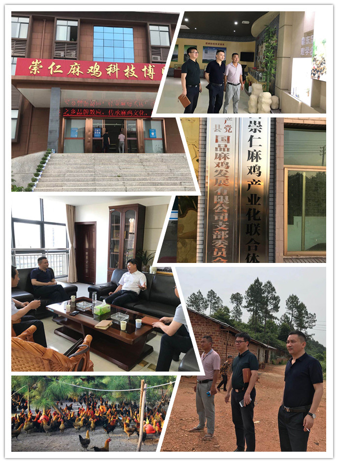 首页- 尊龙集团中国官网入口