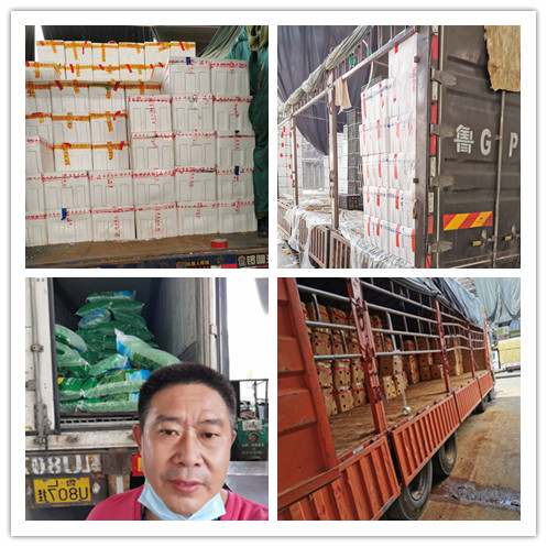 首页- 尊龙集团中国官网入口