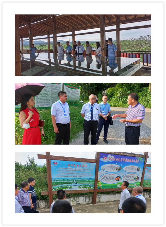 首页- 尊龙集团中国官网入口