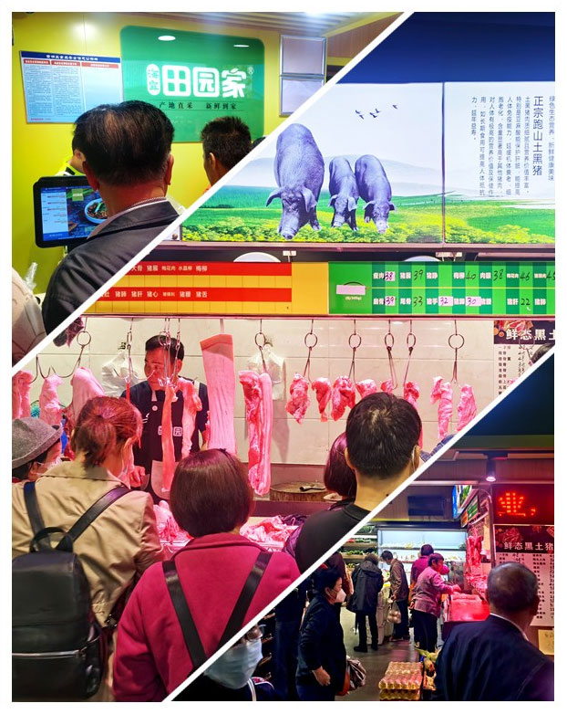 首页- 尊龙集团中国官网入口