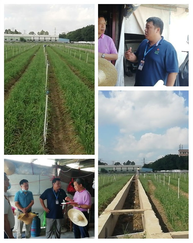 首页- 尊龙集团中国官网入口