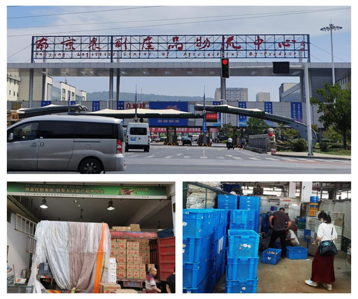 首页- 尊龙集团中国官网入口