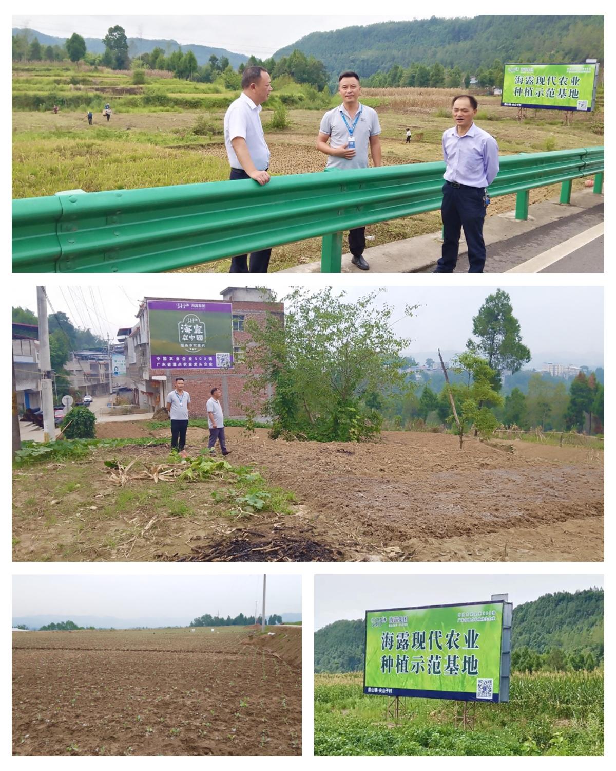 首页- 尊龙集团中国官网入口