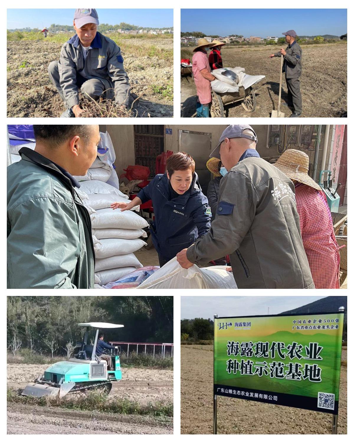 首页- 尊龙集团中国官网入口