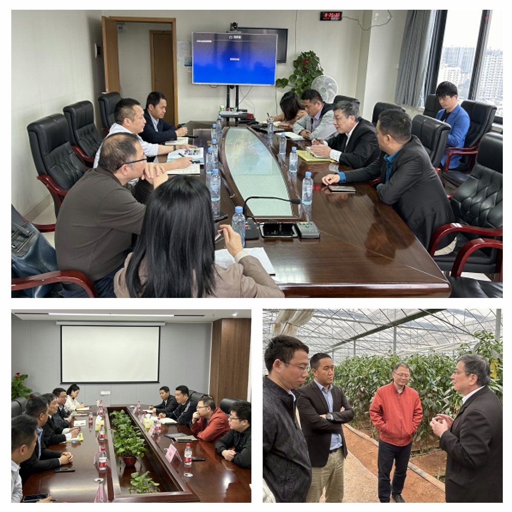 首页- 尊龙集团中国官网入口